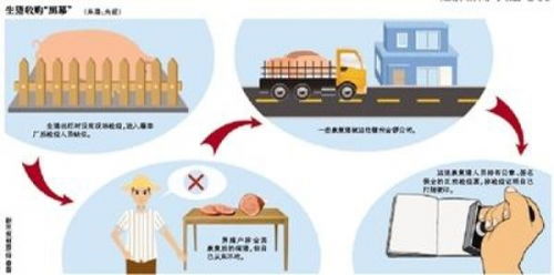 金鑼集團(tuán)病豬事件 管理失序敲響食品安全警鐘