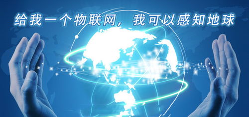 物聯(lián)網(wǎng)產(chǎn)業(yè)崛起背后的無形基石 網(wǎng)絡(luò)技術(shù)開發(fā)的驅(qū)動(dòng)與創(chuàng)新